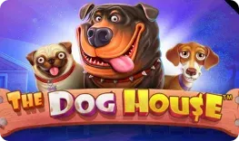 Realz Casino – The Dog House